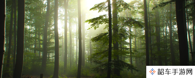 theforest作弊码怎么输入-theforest作弊码输入方法